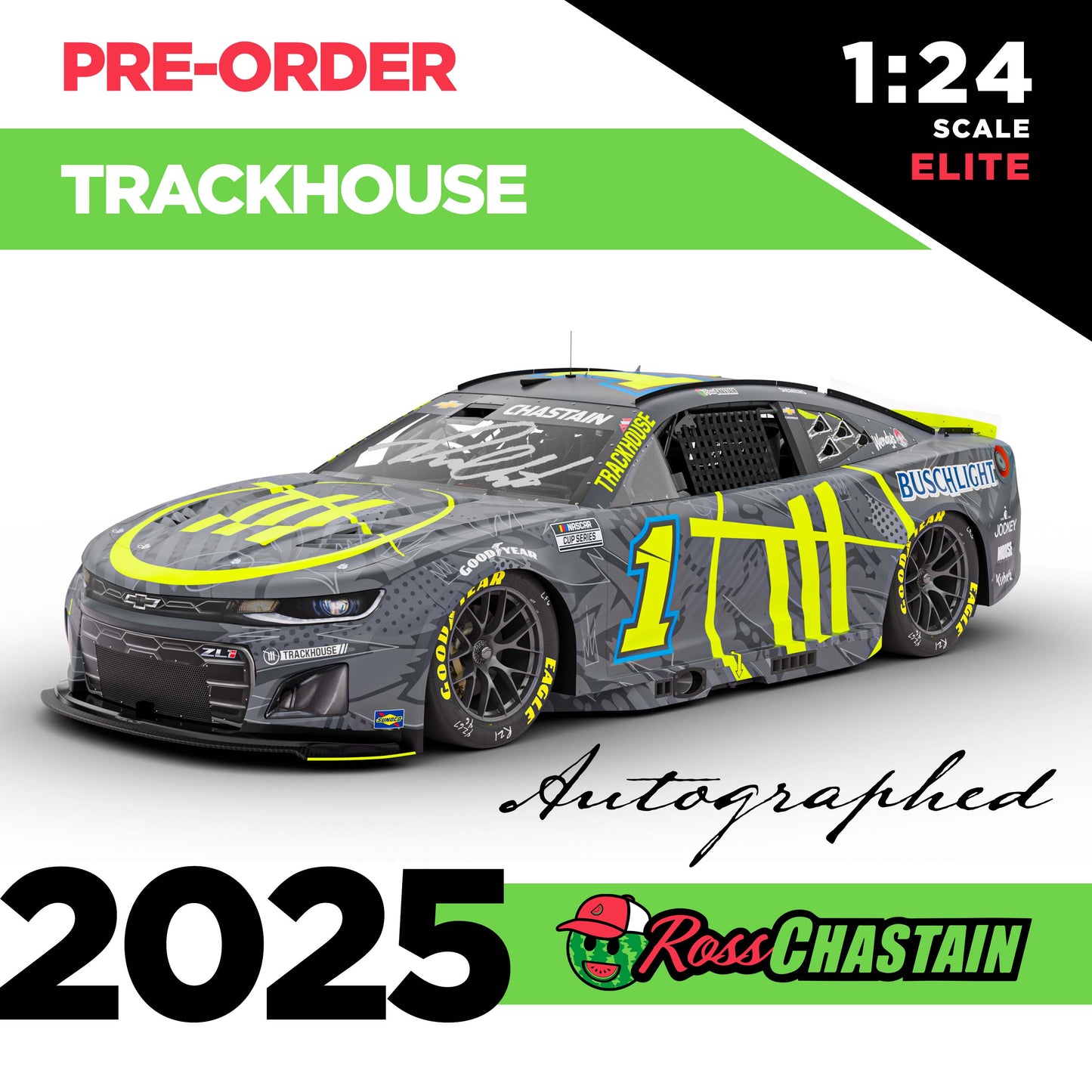 AUTOGRAPHED Ross Chastain 2025 No.1 1:24 Trackhouse ELITE DIE-CAST